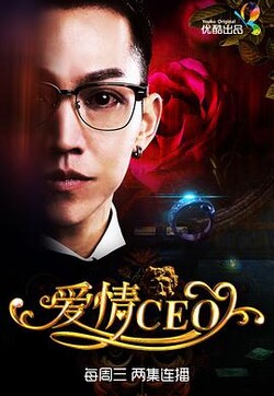 爱情CEO